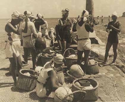 Woman of the Sea | Jeju Haenyeo – Korea’s Brave Female Divers